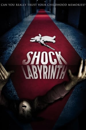 Poster The Shock Labyrinth 2009