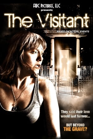 Poster The Visitant 2014
