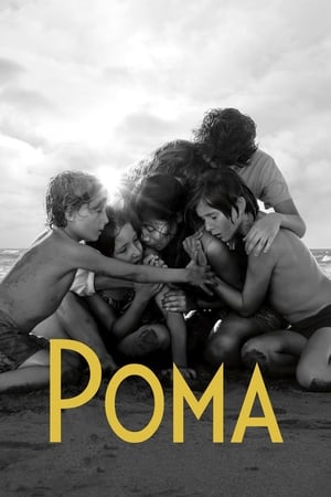 Poster Рома 2018