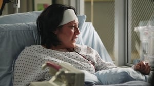 Grey’s Anatomy Season 7 Episode 19