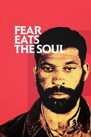 Image Ali: Fear Eats the Soul