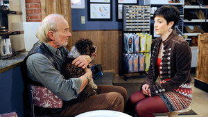 Rote Rosen Season 10 :Episode 150  Episode 1750