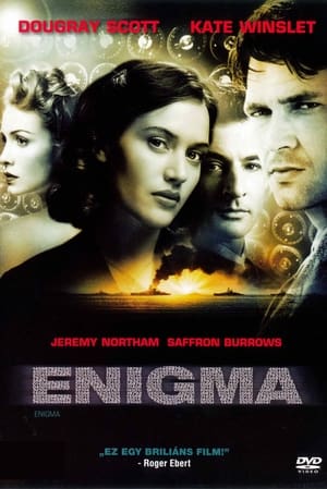 Enigma 2001