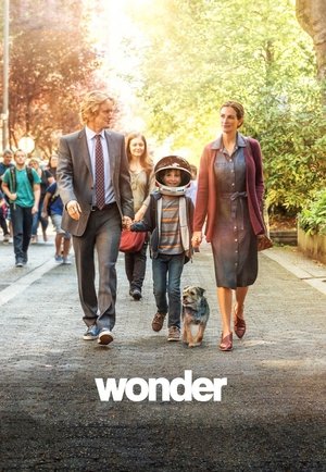 Wonder Wonder