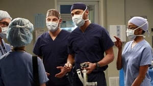 Grey’s Anatomy Season 9 Episode 14