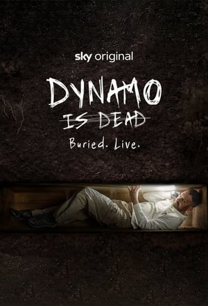 Image Dynamo is Dead