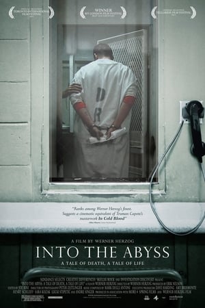 Poster Into the Abyss 2011
