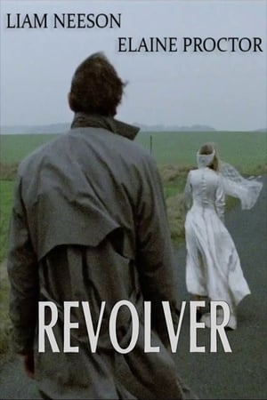 Poster Revolver 1991