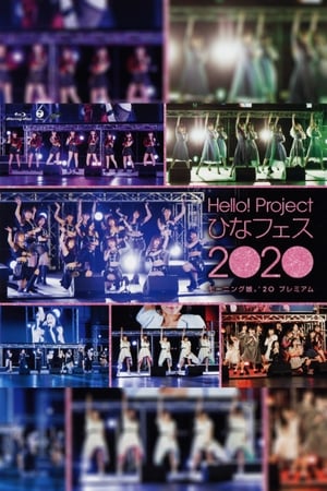 Télécharger Hello! Project 2020 Hina Fes ~モーニング娘。’20 プレミアム~ ou regarder en streaming Torrent magnet 