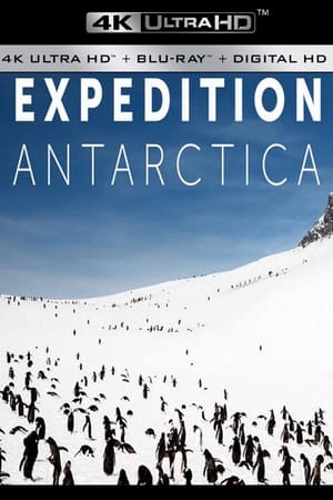 Image Expedition Antarctica