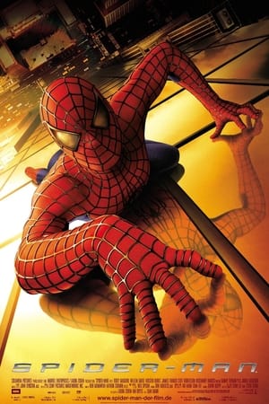 Poster Spider-Man 2002