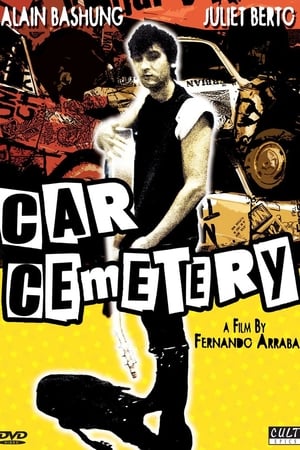 Image Car Cemetery