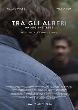 Image Tra gli alberi