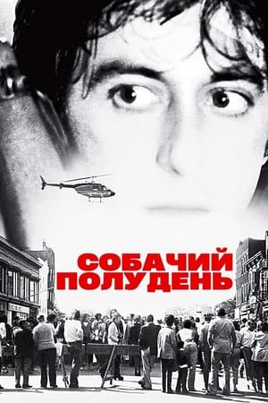 Poster Собачий полудень 1975