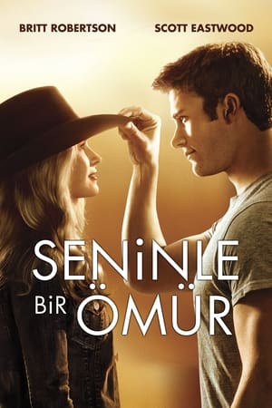 Poster Seninle Bir Ömür 2015