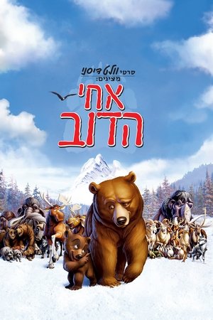 <Images posters