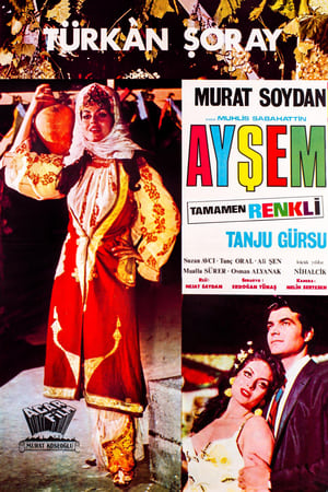 Télécharger Ayşem ou regarder en streaming Torrent magnet 
