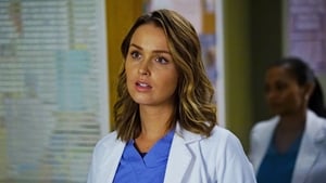 Grey's Anatomy Season 13 :Episode 4  Falling Slowly