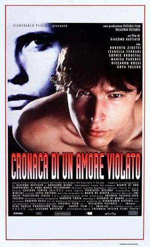 Poster Cronaca di un amore violato 1995