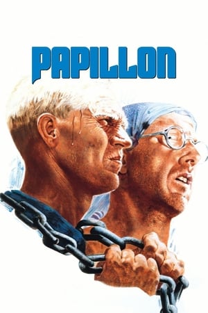 Poster Papillon 1973