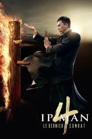 Télécharger Ip Man 4 : Le Dernier Combat ou regarder en streaming Torrent magnet 