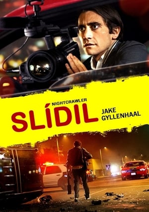 Poster Slídil 2014