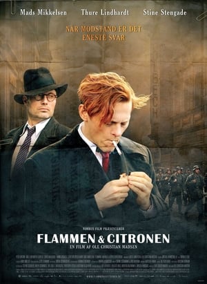 Poster Flammen og Citronen 2008