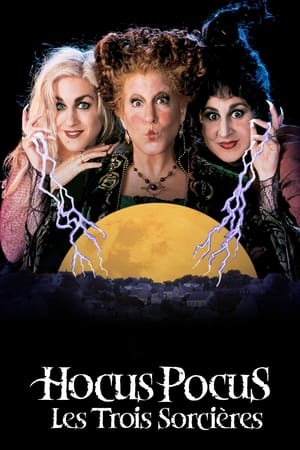 Image Hocus Pocus : Les Trois Sorcières