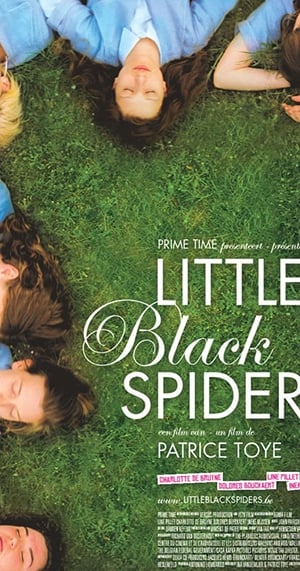 Image Little Black Spiders
