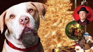 Hercules - Il Cane di Babbo Natale