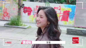 Wonderland Season 0 :Episode 238  Episode 238