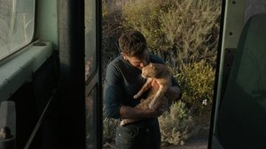Images posters