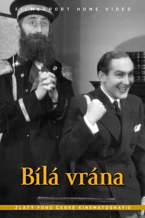 Image Bílá vrána