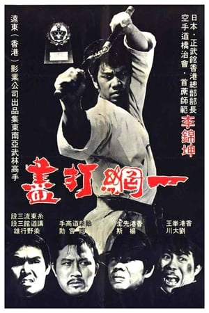 Poster The Thunder Kick 1974