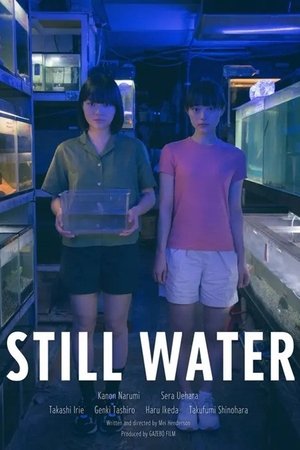 Still Water (2025)