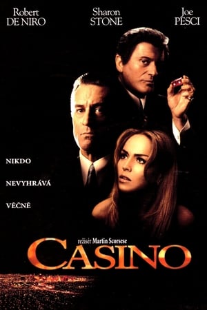 Poster Casino 1995