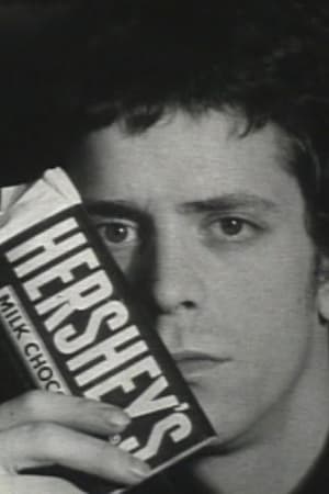 Télécharger Screen Test [ST270]: Lou Reed (Hershey) ou regarder en streaming Torrent magnet 