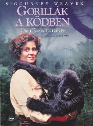 Gorillák a ködben 1988