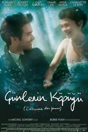 Image Günlerin Köpüğü