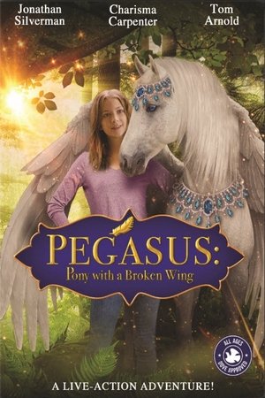 Pegasus: Pony with a Broken Wing Pegasus: Pony with a Broken Wing