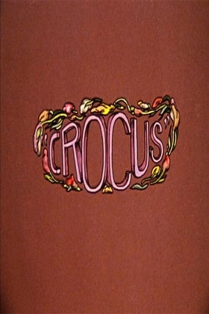 Crocus 1971