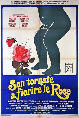 Image Son tornate a fiorire le rose