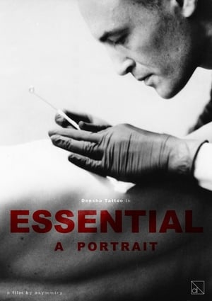 Image ESSENTIEL — A Portrait