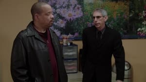 Law & Order: Special Victims Unit Season 13 :Episode 21  Learning Curve