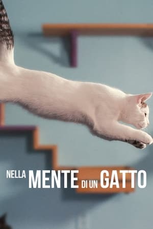 Nella mente di un gatto 2022