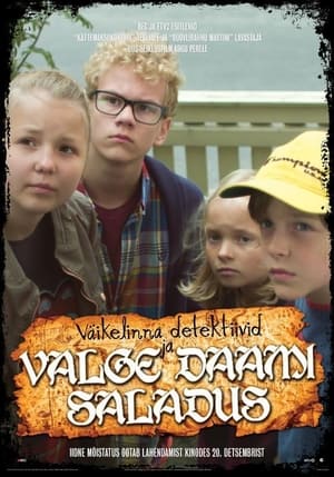 Väikelinna detektiivid ja valge daami saladus 2013