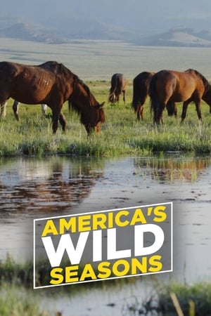 Image America's Wild Seasons