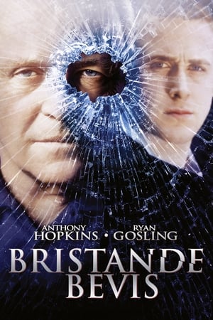 Poster Bristande bevis 2007