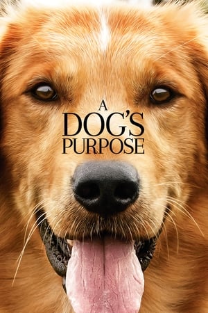 Image A Dog's Purpose