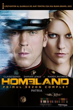 Poster Homeland: Rețeaua terorii 2011